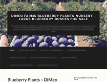 Tablet Screenshot of dimeofruitfarms.com